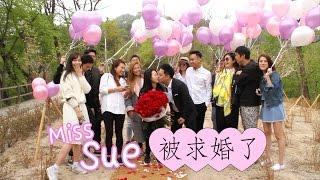 Miss Sue 被求婚了