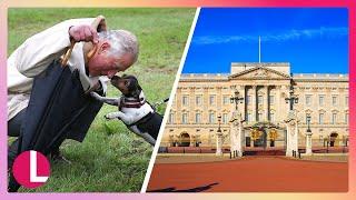 King Charles Introduces New Family Member and Unveils £369M Palace Makeover | Lorraine