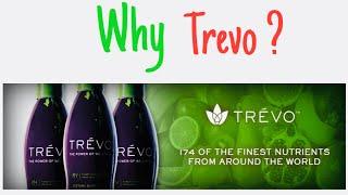 Miraco Global - Trevo Testimony