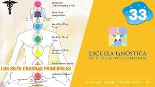 Los siete chakras principales