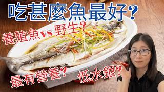 魚的營養高 | 吃甚麼魚最安全 ? 不怕重金屬 ! 野生比養殖有營養嗎 ? 營養師媽媽Priscilla (粵語中文字幕)