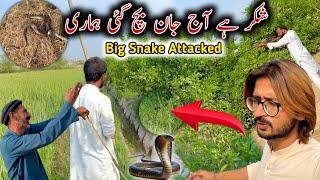 Allah Ny Jaan Bacha Lii  Big Snake  Attacked