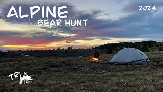 Solo Spring Bear Backcountry Bow Hunt 2024