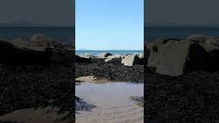 What Are Tidal Pools and How Are They Formed? #shorts   #scienceeducation #discoverscience #stem