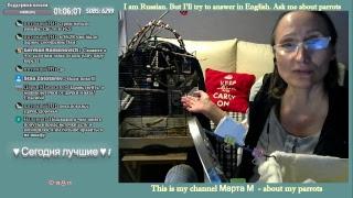 Стрим 06.10.18 в 17-00  Всё о ПОПУГАЯХ  Канал Марта М  Ответы вопросы  ABOUT PARROTS 