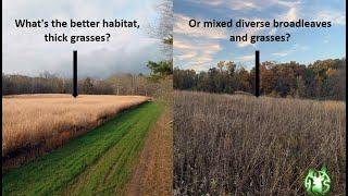 HS360 2023 How diversity in native grass habitats can create more predictable deer movements.