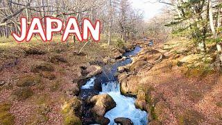 Japan's Winter Wilderness - 2 Hours From Tokyo (Near Nikko) + Hotel and Food Cost