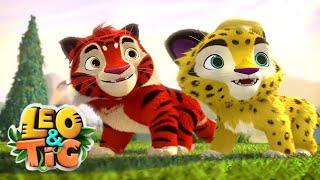 Leo and Tig  All episodes in row  Funny Family Animated Cartoon for Kids