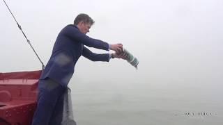 Stille Beisetzung auf der Nordsee mit Aqua-Omega