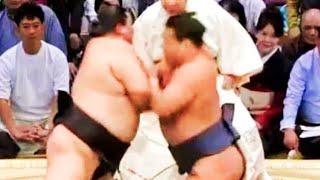 Kyushu Basho 2024 Day 12 Shodai vs Hoshoryu