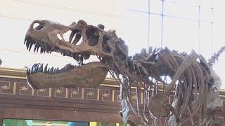 Texas Science and Natural History Museum on UT campus opens after renovations | FOX 7 Austin