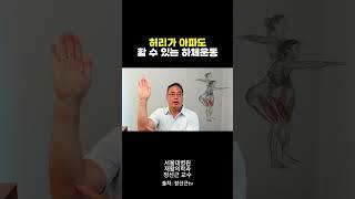 허리가 아파도 가능한 하체운동