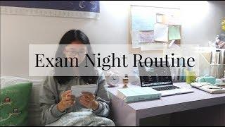 Exam Night Routine | Everything Janis