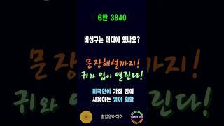 3840번 #미국인이가장많이쓰는영어 #쉬운영어회화 #생활영어회화 #총알영어회화 #여행영어회화 #백번듣고백번말하기 #영어회화문장해설 #영어회화문법해설