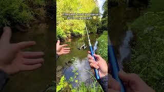 Catching a fish with a PEN... #fishing #fishingchallenge #fishingrod