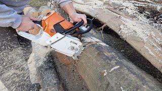 Ultra Fast Stihl MS661 Chainsaw in Beech Wood with Raul & Cristi/Sthil MS661 in Lemn de Fag/