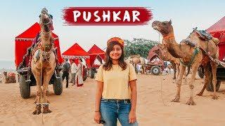 EXPLORING PUSHKAR | Pushkar Camel Fair   | Things to do in Pushkar, Rajasthan | Kritika Goel