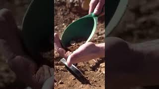   Как раньше добывали золото #shorts