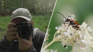 3 Methods for Mastering the Art of Focusing in Macro Photography