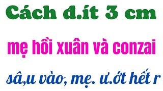 Chuyện tham kin | HỒI ỨC VỀ NGƯỜI MẸ ĐƠN THÂN và thằng con trai.