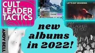 Eight new albums I’m excited for in 2022! | Scruffy Storms