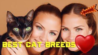 Best Cat Breeds for First Time Owners ️ A Beginner's Guide