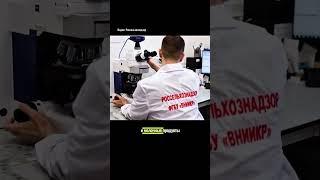 Россия забраковала полоцкую сметану