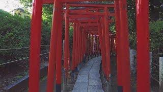 Nezu Shrine | Bunkyo-ku, Tokyo【東京・根津神社】 4K