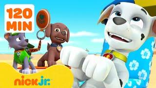 PAW Patrol Best Beach Rescues! ️ 120 Minutes | Nick Jr.