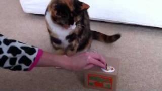 Daisy Horse with her Kitty Coin Bank