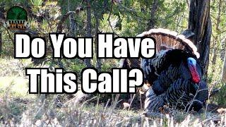 Simplify Your Turkey Hunt: The Must-Have Call Every Hunter Needs