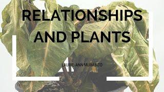 Nurture Relationships - Laurie-Ann Murabito - Leadership Speaker