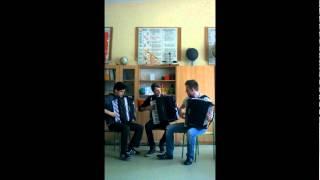 David Guetta ft. Sia - Titanium (Crazy Accordion Trio Cover)