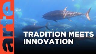 Malta at the Cutting Edge of Tuna Farming | ARTE.tv Documentary