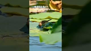 물 한모금 축이자. Let's have a sip of water.