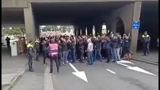 Slavia Prague In Rotterdam #shorts #fyp #hooligans #ultras #footballhooligans #ucl #europaleague