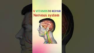 4 vitamins to repair nervous system #shorts