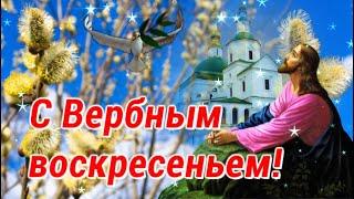 С ВЕРБНЫМ ВОСКРЕСЕНЬЕМ! Красивое поздравление с Вербным Воскресеньем! [ Вербное Воскресенье 2021 ]