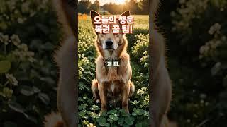 오늘의 행운 복권 꿀 팁! 6월22일, 일요일, #복권운세 #이슈 #지식 #고전이야기 #운명이야기 #사주