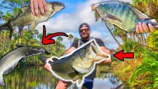 24 Hour MULTI - SPECIES Fishing Challenge!!! (WITH ONLY 1 LURE!)