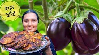 Brinjal Season || Begun Bhaja Recipe|| Kinnaur HP