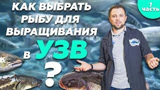 Как ПРАВИЛЬНО выбрать РЫБУ ДЛЯ ВЫРАЩИВАНИЯ в УЗВ? Часть 1 | Бизнес с нуля