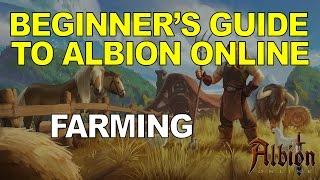 Beginner's Guide To Albion Online - Farming