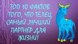 ТОП 10 фактов того, что Телец самый лучший партнер для жизни