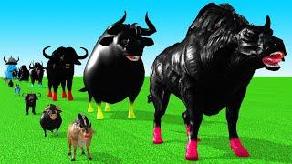 Paint Animals Cow Cartoon,Buffalo,Bull,yak,Ox, Bison Fountain Crossing Animal Transformation Game