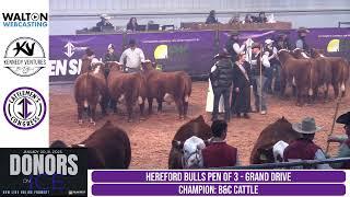 2025 Cattleman's Congress - National Hereford Heifer & Bull Pen Show