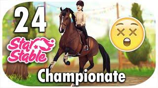 ich reite 24 CHAMPIONATE in SSO  CHAMPI COMPILATION XXXL