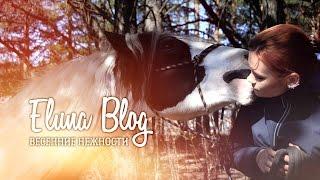 Better Together with Eluna