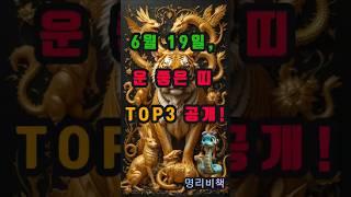 6월 19일, 운 좋은 띠 TOP 3 공개! #사주 #6월19일 #로또 #운세 #2025년 #재물운 #일간 #사주팔자 #연애운 #신년운세 #띠