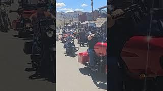 Biker Harley-Davidson Dreams, Motorcycles on Route 66 Oatman Arizona #shorts #Motorcycle #biker